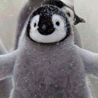 かなえ やまなし