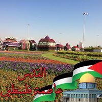 Salam Taha