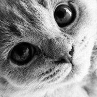 Татьяна Чебурашкина