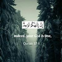 Omar Mohammed