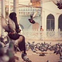 ساره الجابري