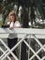 Jo Hartley