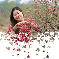 Bình Diệu Hội Bảo