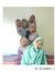 Nor Aisyah
