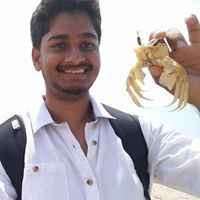 Prakhar Pramod