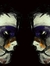 Barend