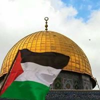 Mohannad Al Qudsi