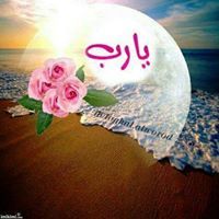 Doaa Mohammed