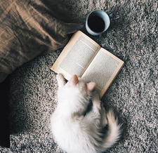 TheApparatingReader