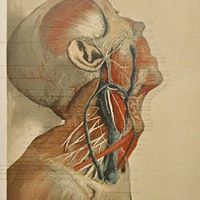 Natchapaweekorn Chaidee