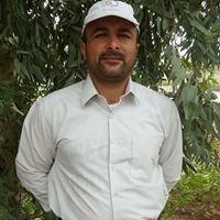 ليث المدينة