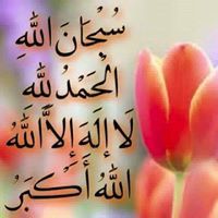 Arshi Arbab