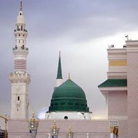 محمد محمود