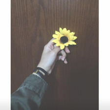 Alaa  Mamdouh ~&#x1f338;