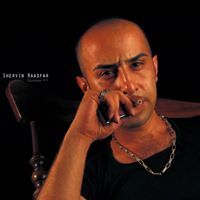 Shervin Raadfar