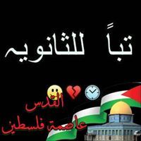 Noor Hesham