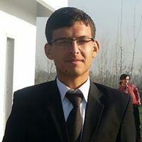 Wajid Ullah