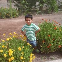 Rajesh Pithadia