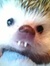 Stuart
