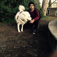 Nithin Cn