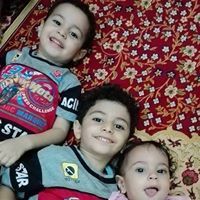 محمود ابو العلا