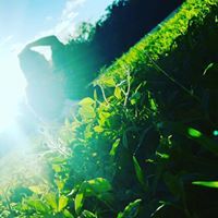 Grisel Hernandez Ojeda