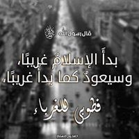 Hossam N