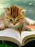 Kitty