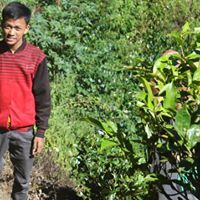 Sigit Trismawan