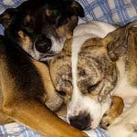 Catherine Higginbotham