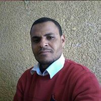 الشاعر البارودي