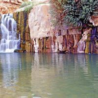 فاتن السماعيل