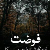 ابوبكر محي الدين