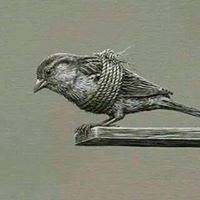 Mahmoude Rezk