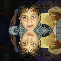 الشاعر المصري