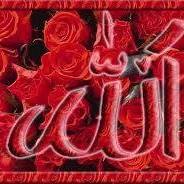 اروي احمد عماره