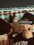 Alex Wang