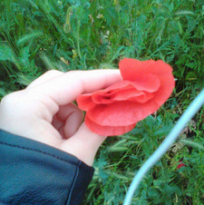 Пламена Иванова