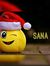 Sana Pa...