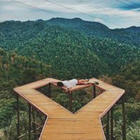 Yojo Rifal