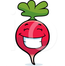 Radish
