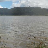 Levant Alejandro