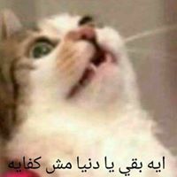 Mohamed Elsayed
