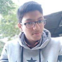 Ayush Piplotia