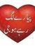 Awais Jung