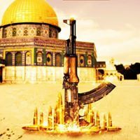 محمود ابو انس