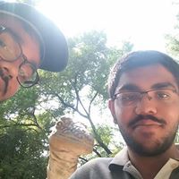Mitul Parth