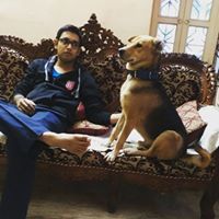 arka sengupta