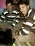 Shahab Ali