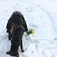 Борислава Горанова